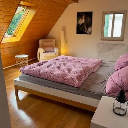 Haus Theresia בית נופש Zwiefalten